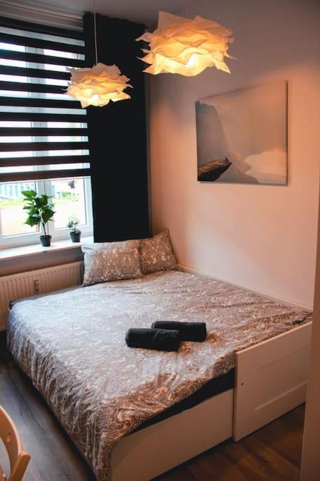 *Apartamenty Kattowitz 12 Extérieur photo